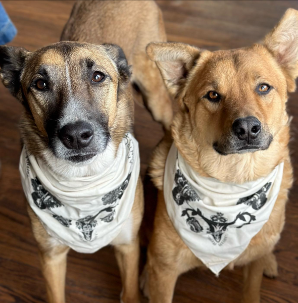 TCI Floral Uterus Bandana